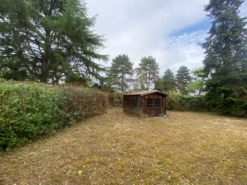 Jardin defriche et remis au propre apres debroussaillage par Art des Jardins