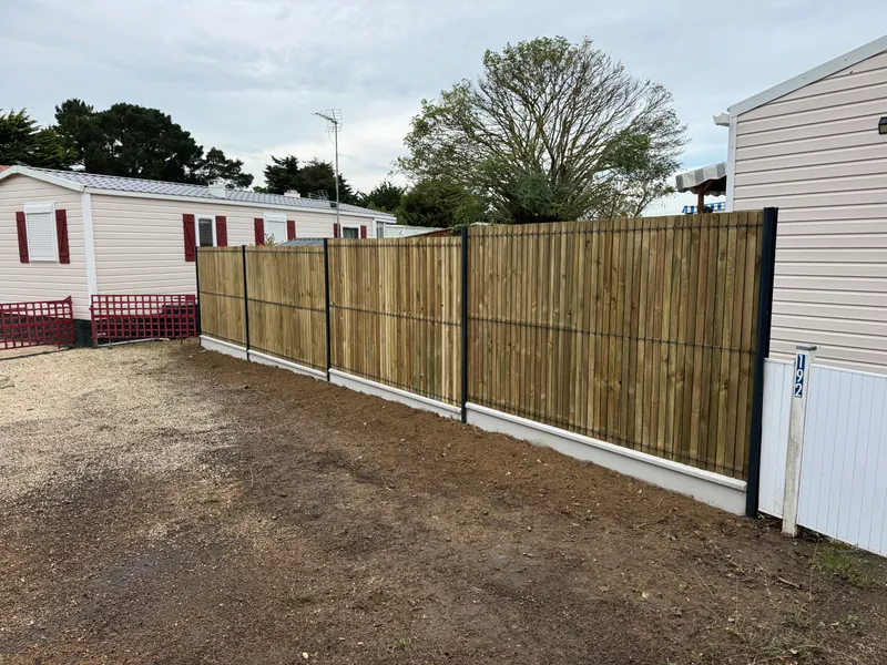 Haies de clôture : quelle essence choisir dans le 49 ?