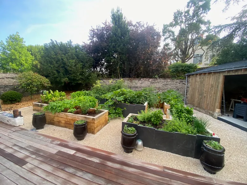 Jardin amenage avec allee en paves et massifs vegetaux apres creation paysagere