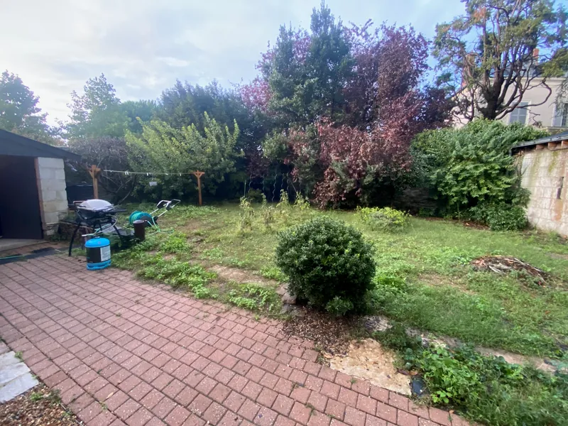 Jardin en friche avec vegetation desordonnee avant amenagement paysager