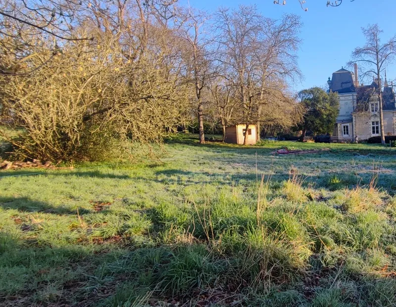 Parc non amenage avec pelouse brute avant creation paysagere a Angers