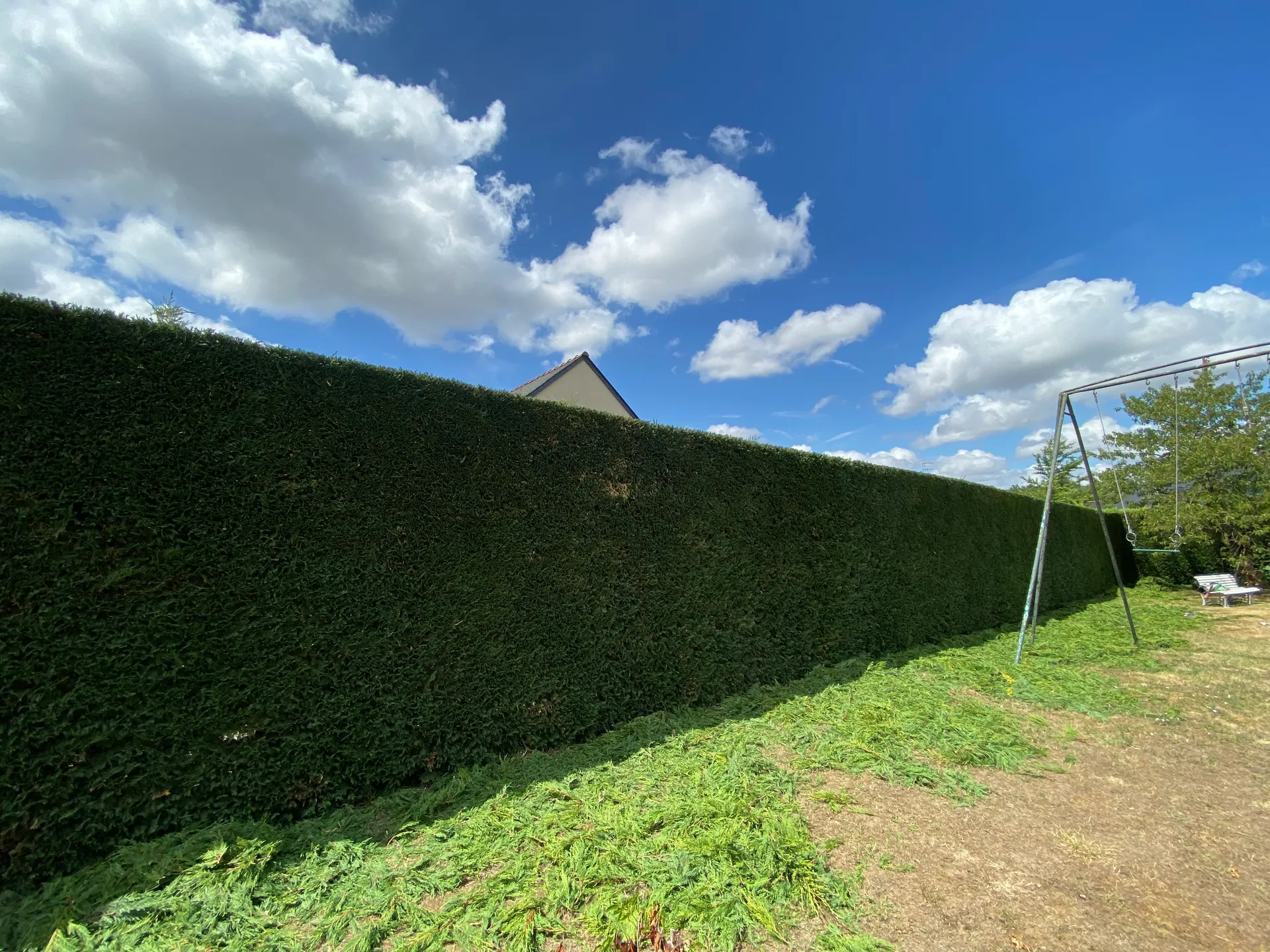 Haie taillee impeccablement par les jardiniers d'Art des Jardins